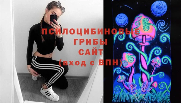 крисы Арсеньев