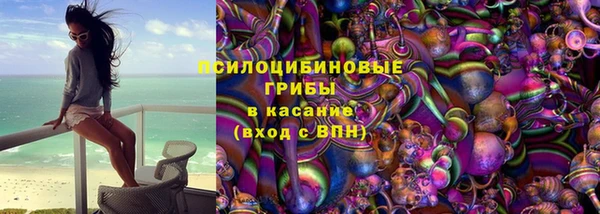 крисы Арсеньев