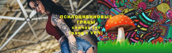 прущий лед Аркадак